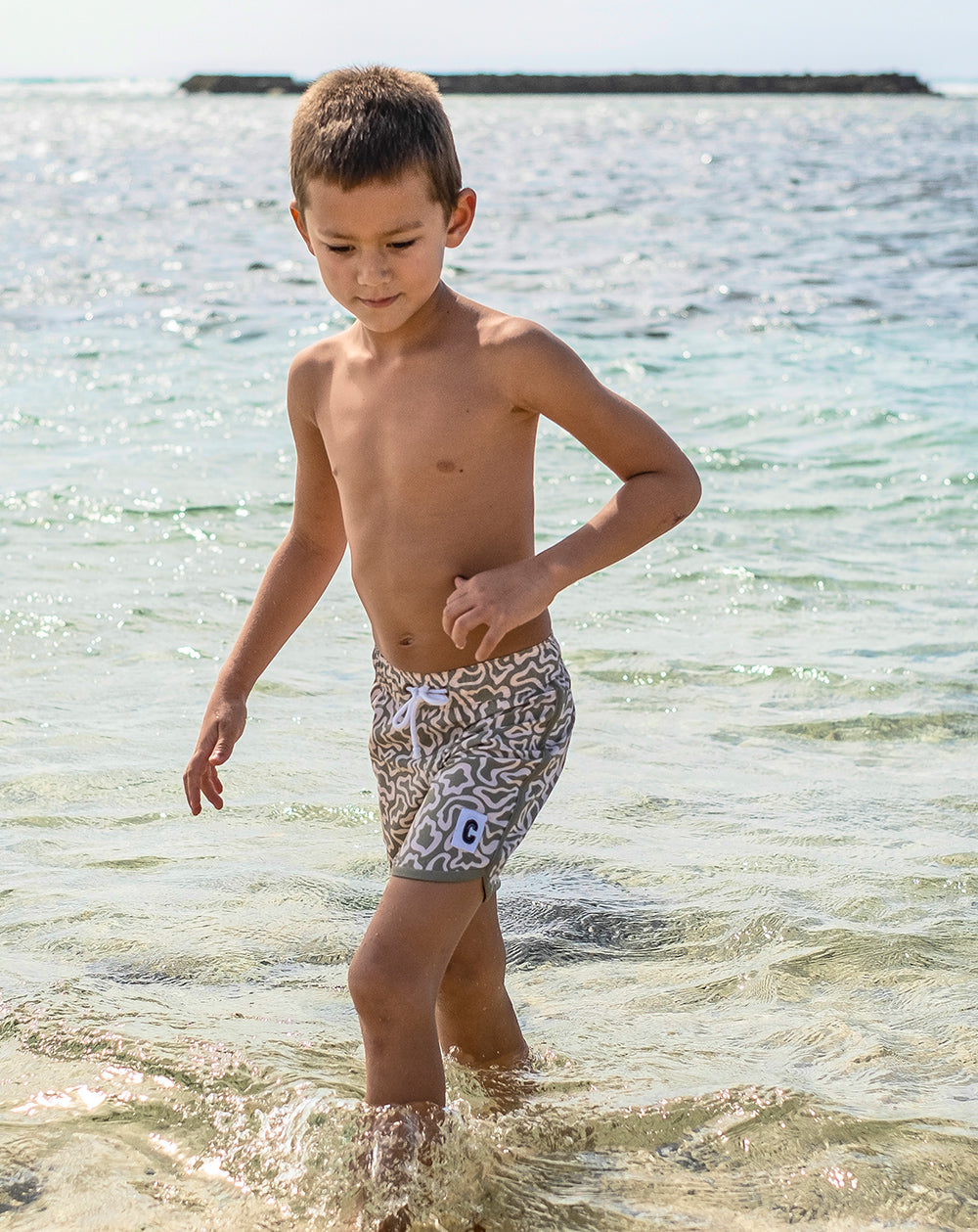 Butterflight Olive Quick Dry Beach Shorts