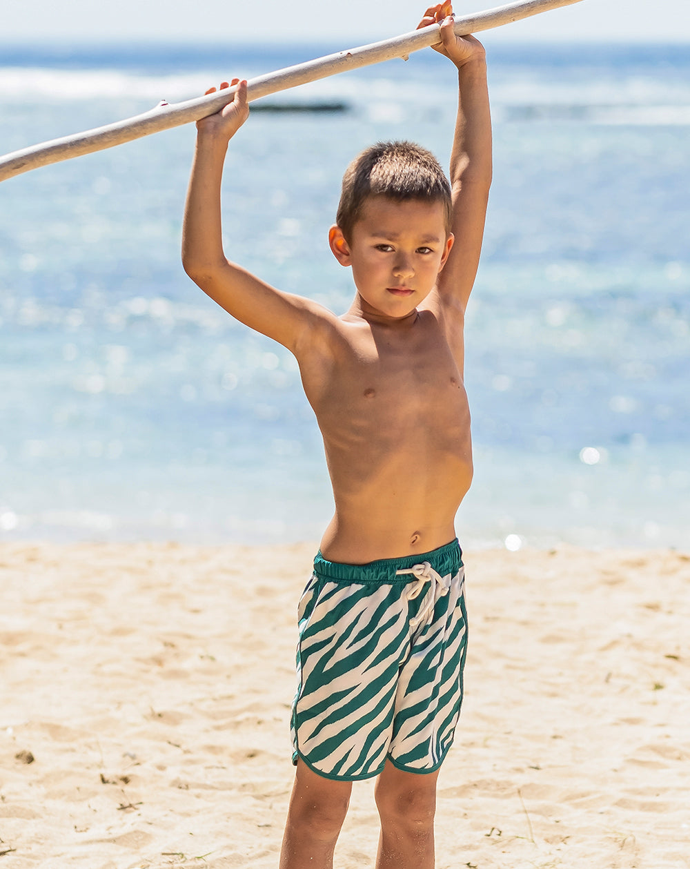 Electric Zebra Emerald Quick Dry Beach Shorts