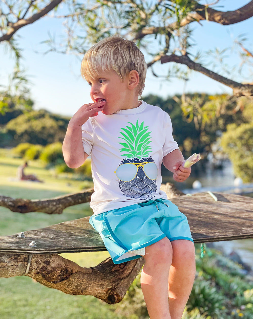 Caribbean Quick Dry Beach Shorts