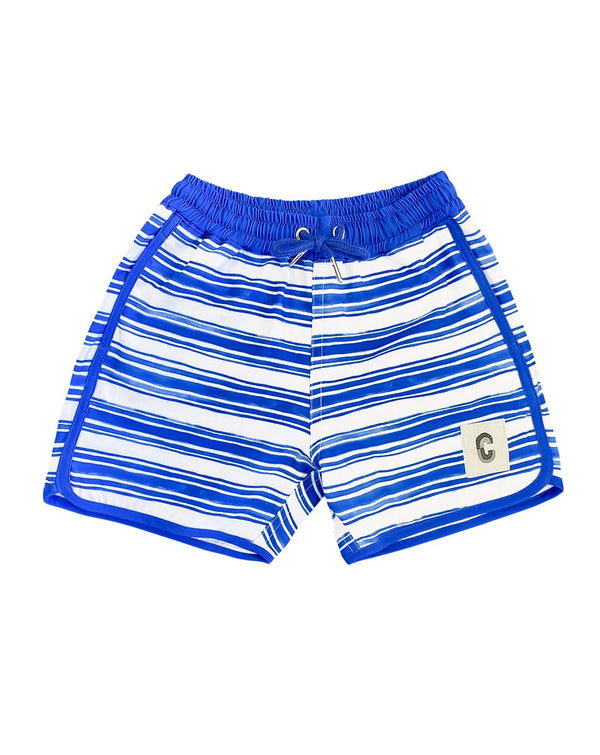 Sea Stripe Quick Dry Beach Shorts